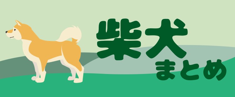 柴犬がいっぱい!堪らない！かわいすぎです！